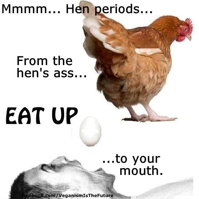 egg chicken anus shit